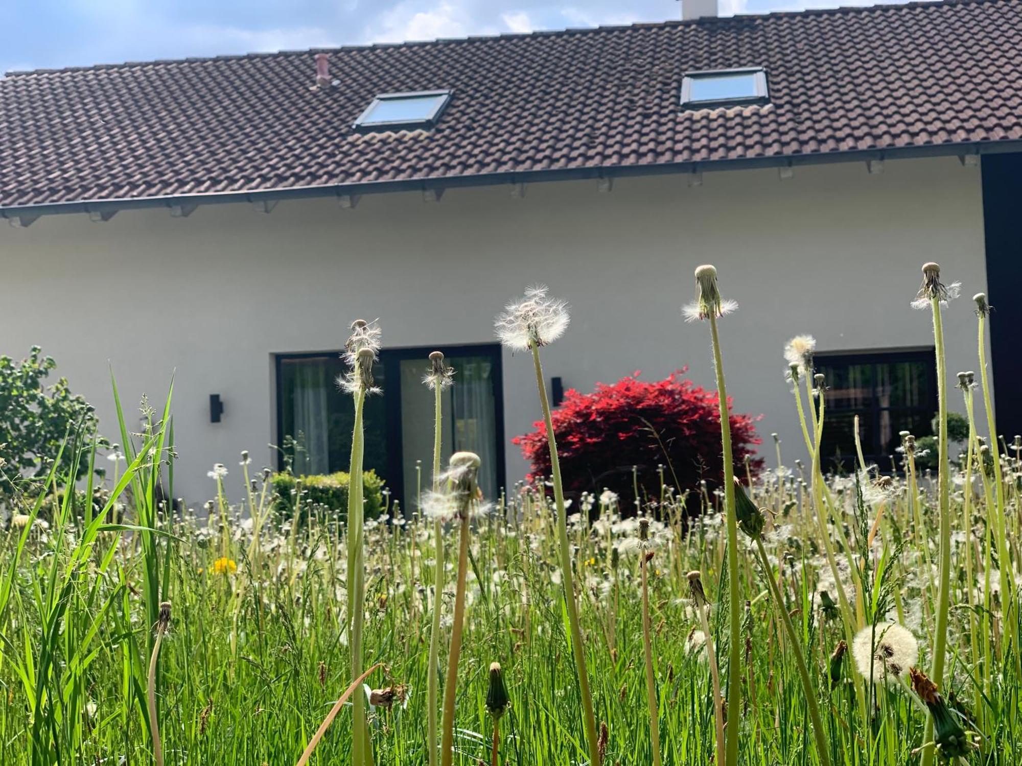 Appartement Kammblick Grobming Eksteriør billede